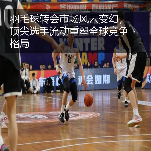羽毛球转会市场风云变幻,顶尖选手流动重塑全球竞争格局