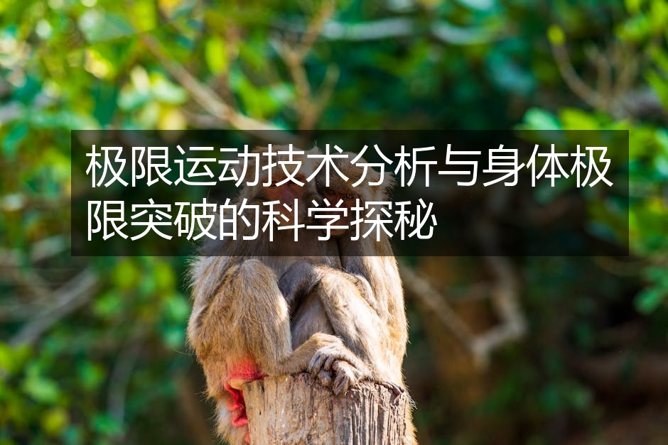 极限运动技术分析与身体极限突破的科学探秘