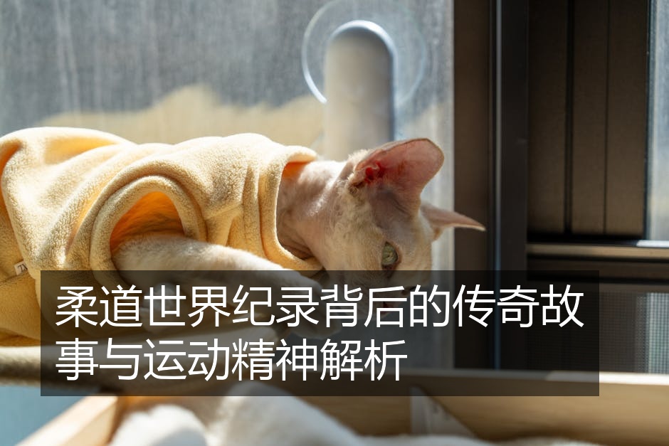 柔道世界纪录背后的传奇故事与运动精神解析