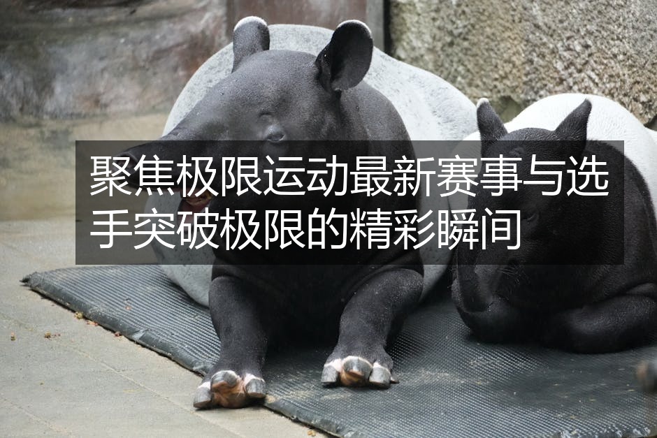 聚焦极限运动最新赛事与选手突破极限的精彩瞬间